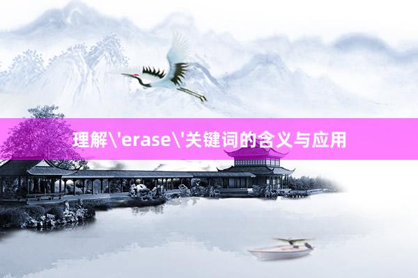 理解'erase'关键词的含义与应用