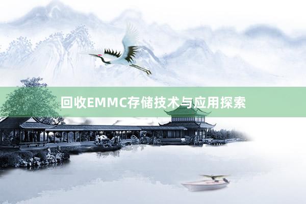 回收EMMC存储技术与应用探索